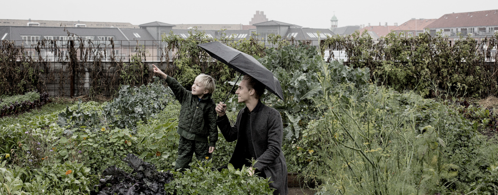 Skærmbillede 2016-08-19 kl. 12.14.30